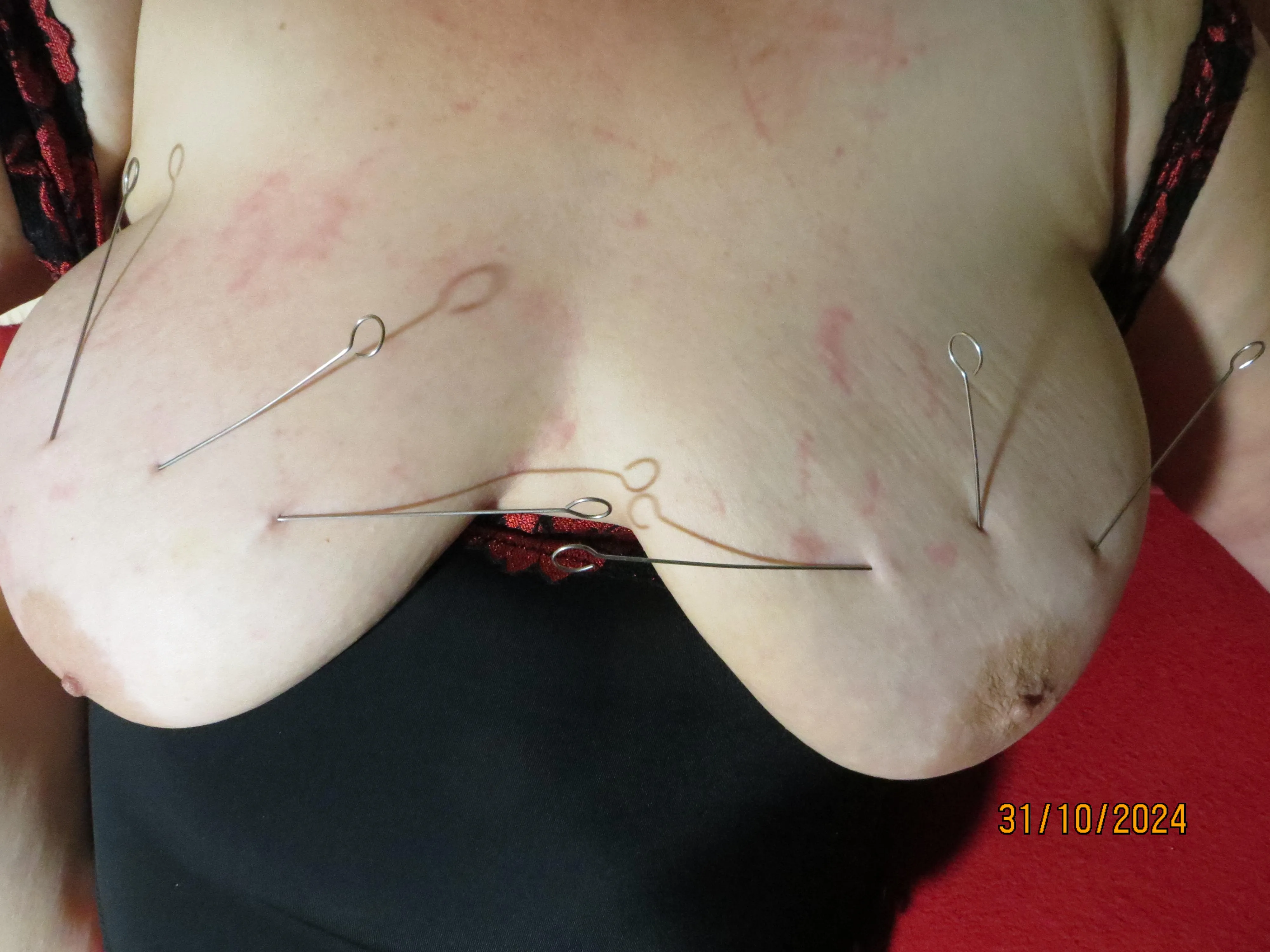 Bisher bin ich bei Rouladen-Nadeln angekommen. >>> Große Metallspieße lehnt sie bisher noch ab. >>> Ich muß wohl mehr Geduld haben.