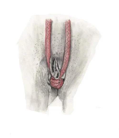 A little outside my comfort zone, but it was requested