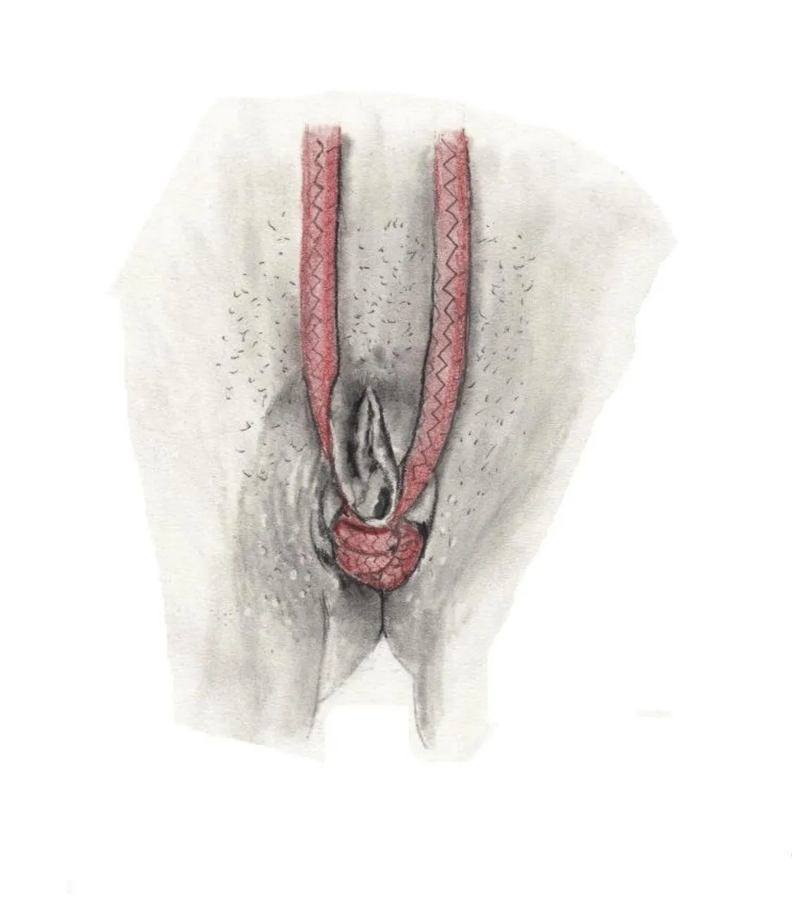 A little outside my comfort zone, but it was requested