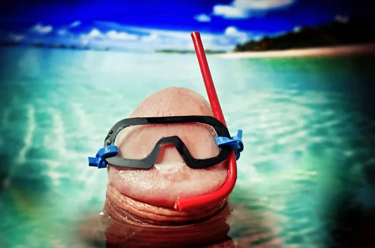 A tropical snorkeling adventure!