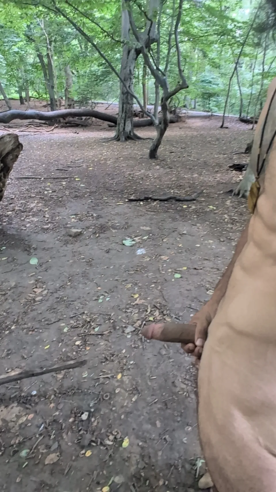 Come play hide and seek