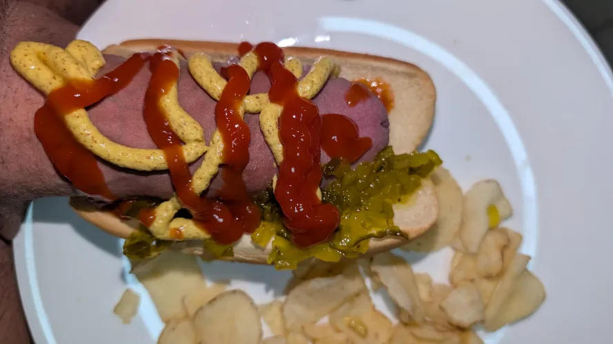Locally raised, organic hot dog