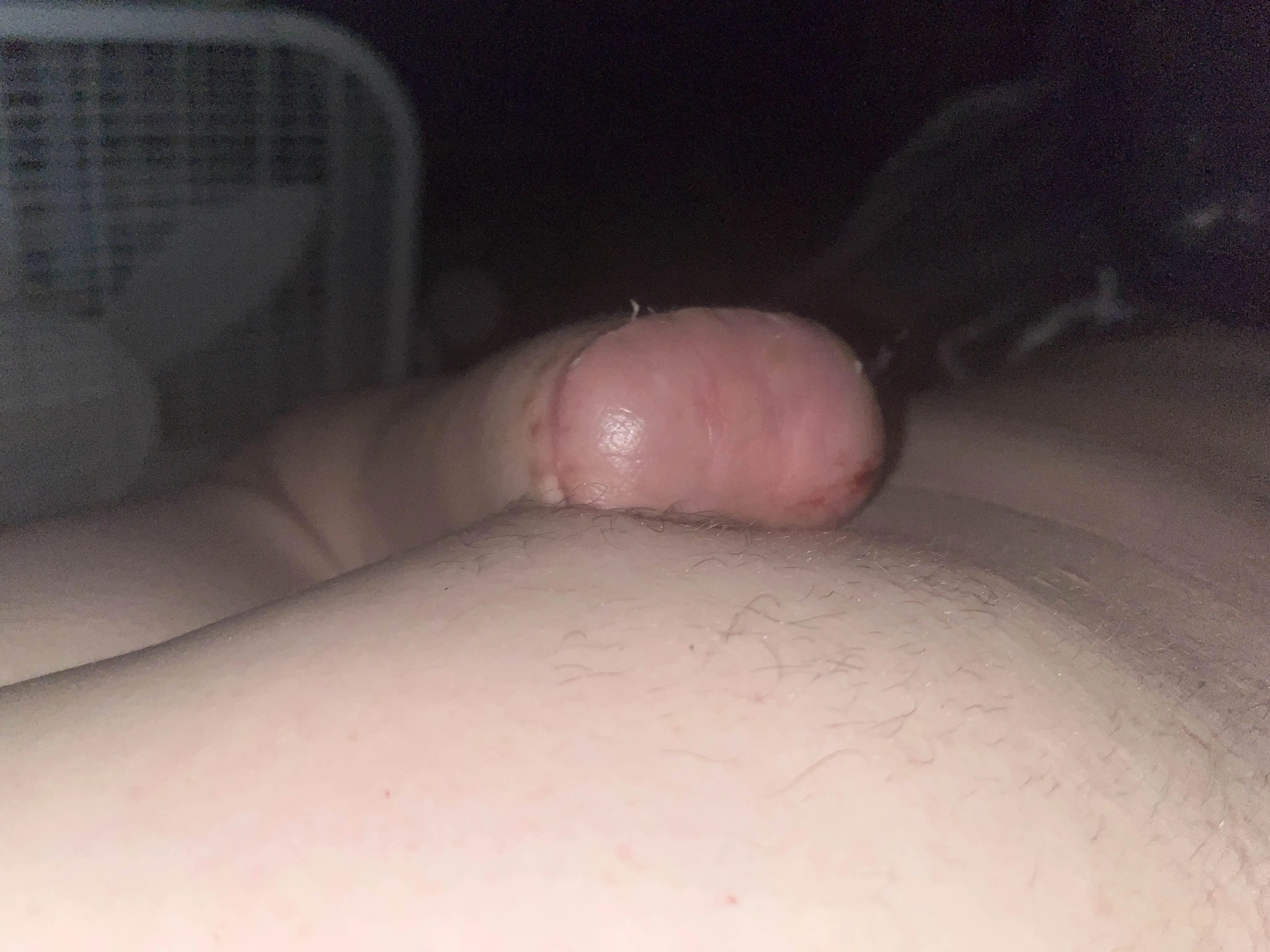 M/LBE/PAN [nsfw]