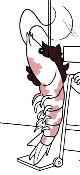Would you sex shrimp jaiden?