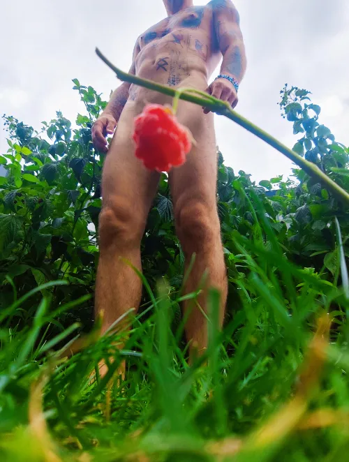 [wpc] Does anyone want the last raspberry