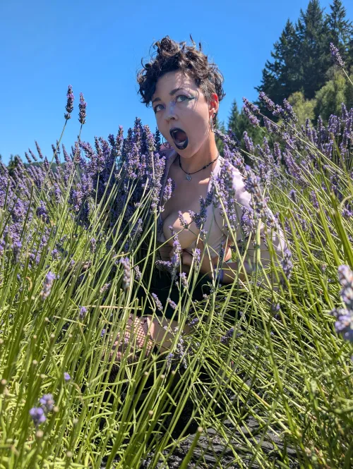 [wpc] well placed lavender