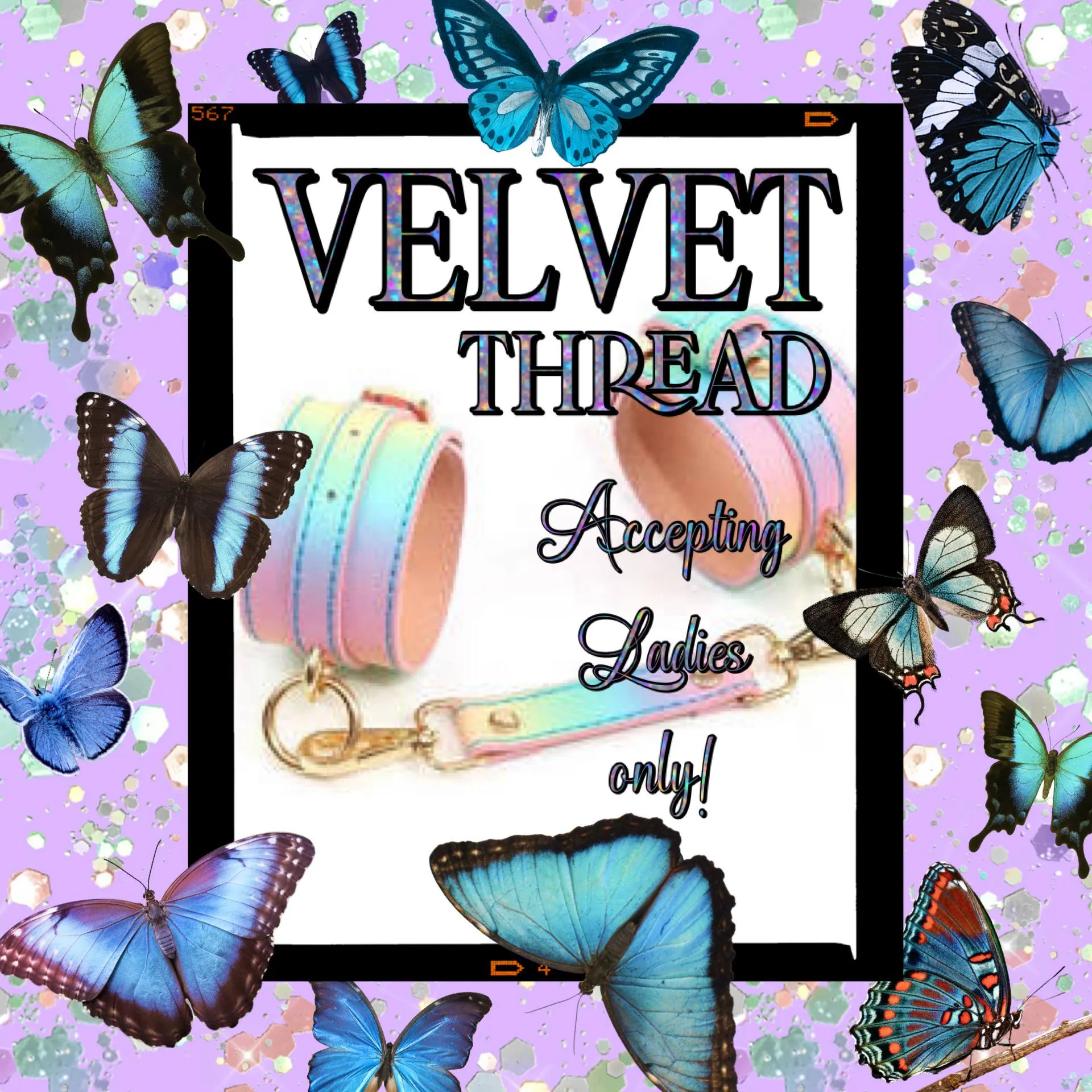 Friendly & Outgoing Room