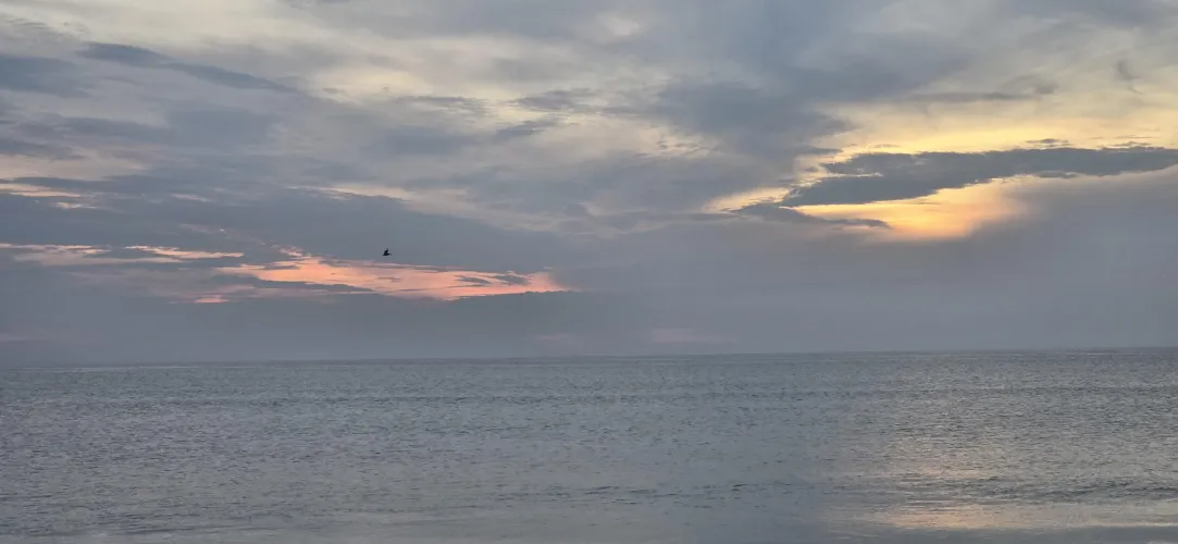 Absolutely beautiful morning 8/3/2025