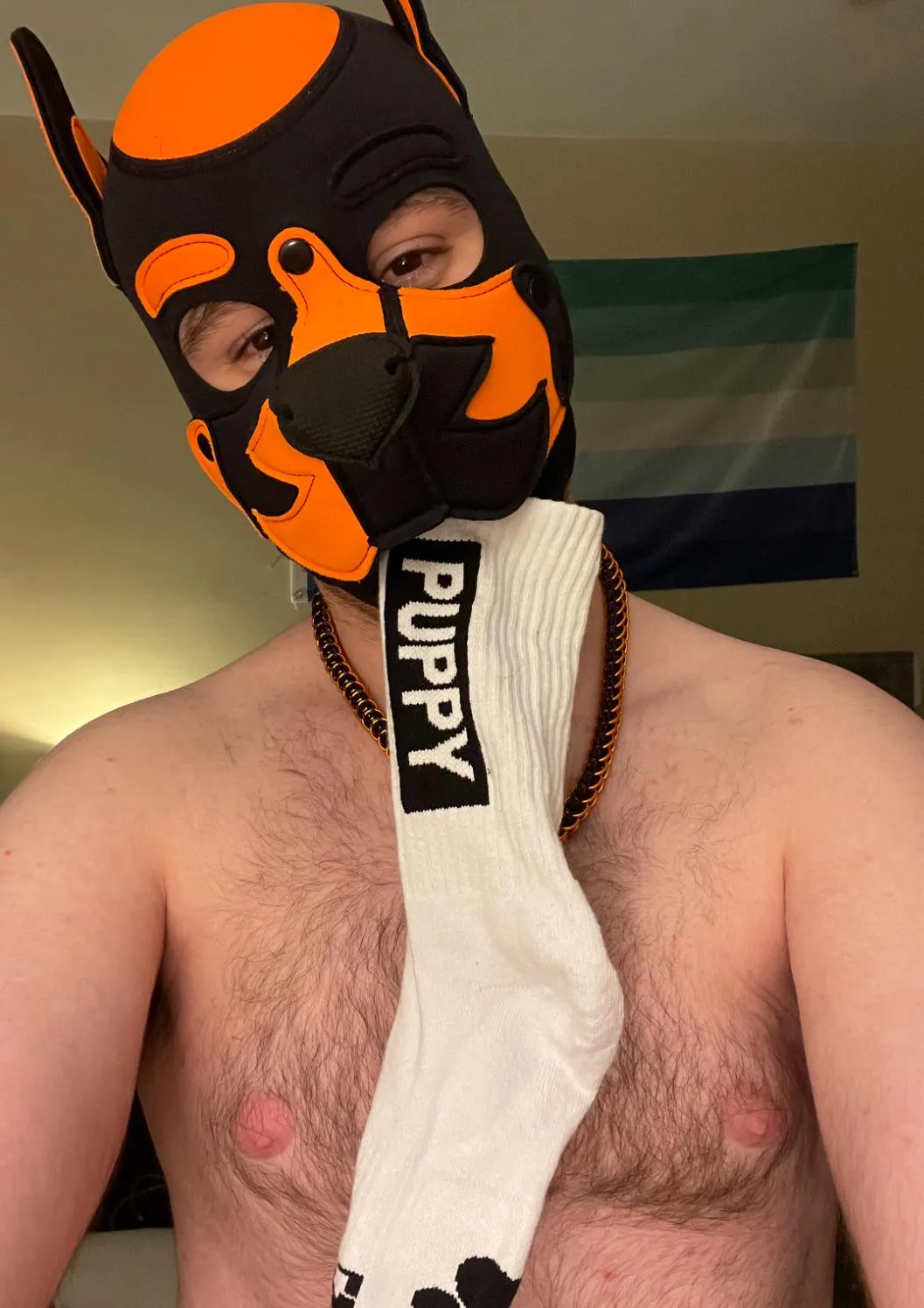 Awuff! I believe this belongs to you pup, I wore it for a few days though, I hope you don’t mind 😈🧦