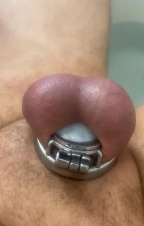 Came in my inverted cage