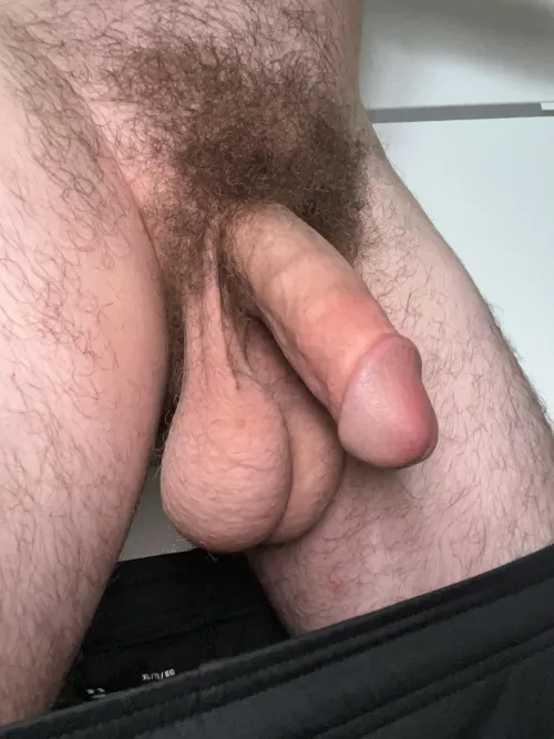 Do you like my hairy cock and balls?
