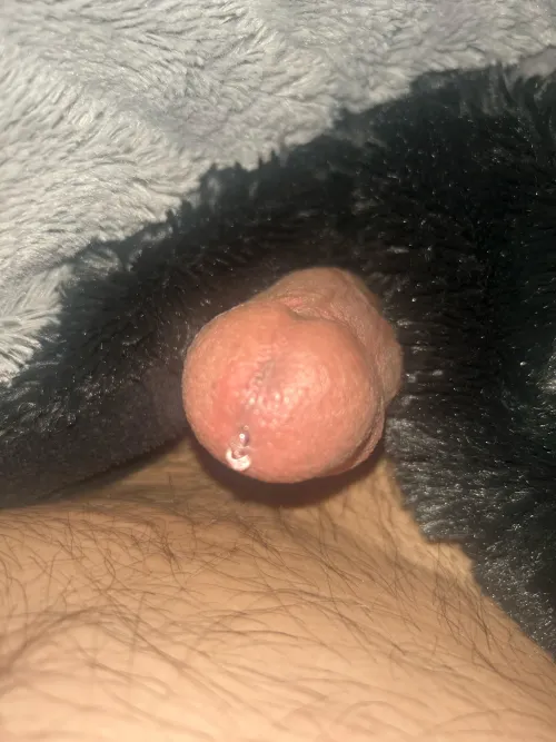 Faux fur session (45)