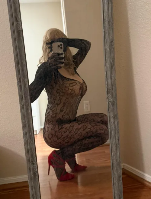 Happy Saturday Phoenix