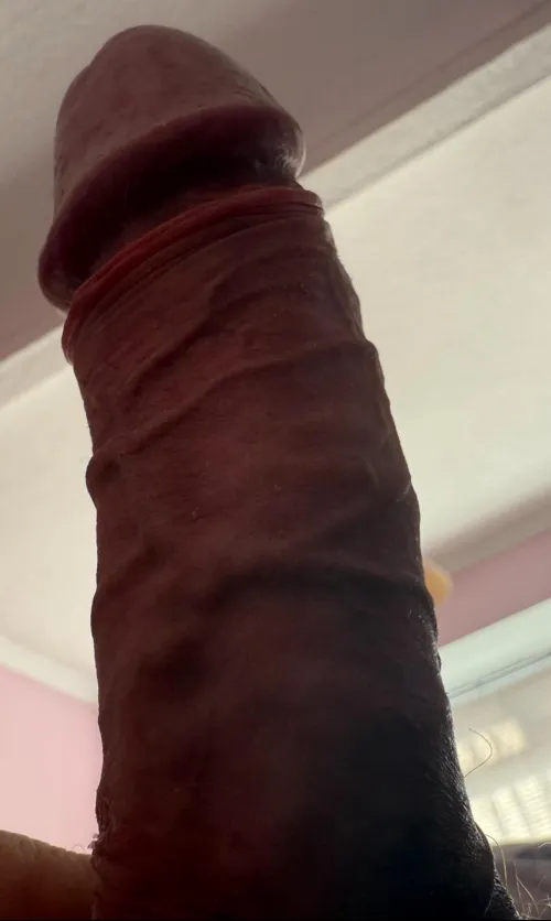 Just an Ebony Queens new favourite play thing