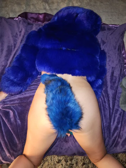 My tail always matches my fur.