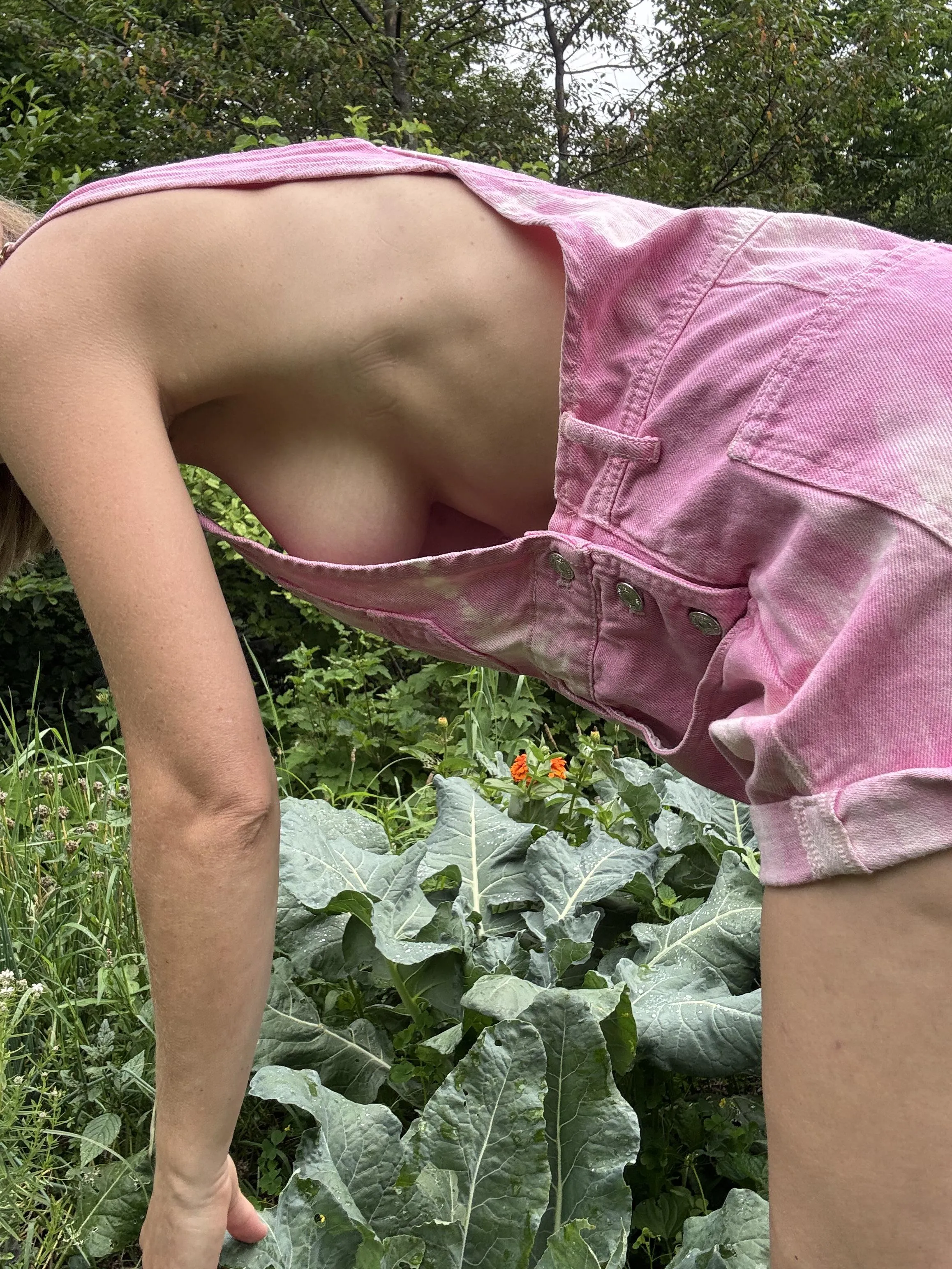 Pink overall season is my favorite season