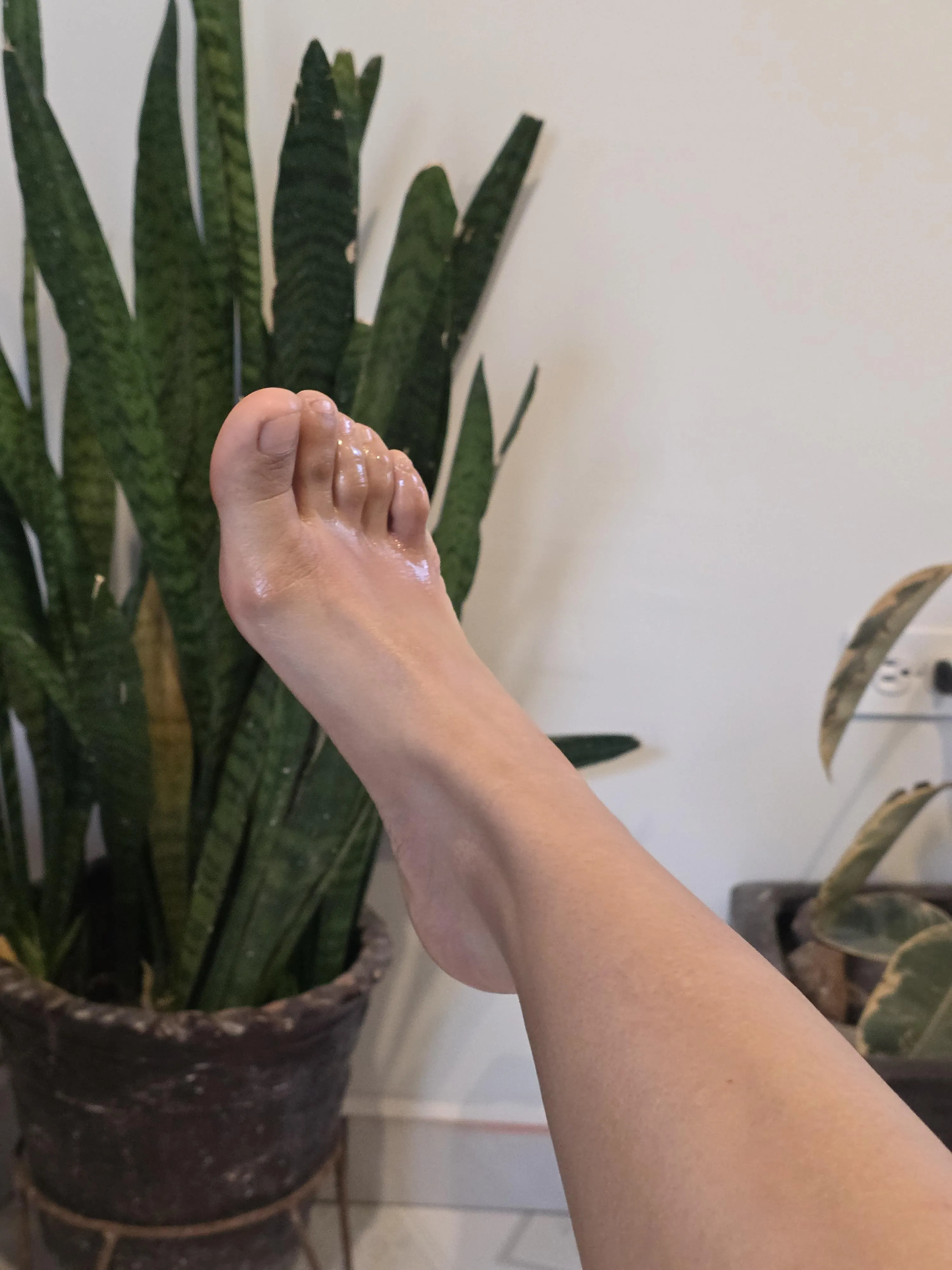 Size 6 feet made to be worshipped. You're already picturing them, aren't you?