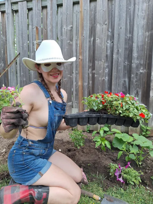 These are nice flowers