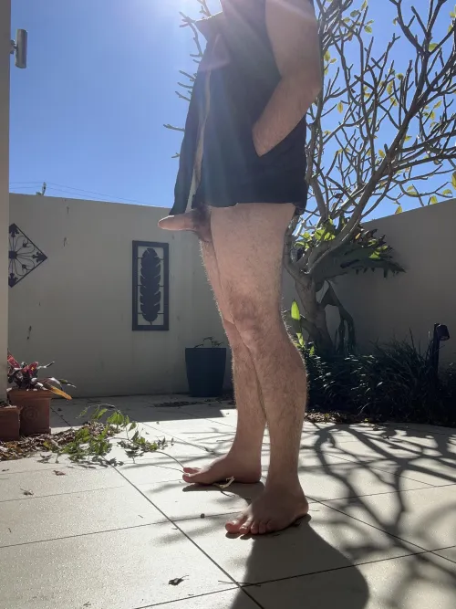 Well these leaves aren't going to blow themselves