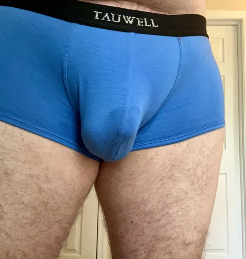 Favorite briefs