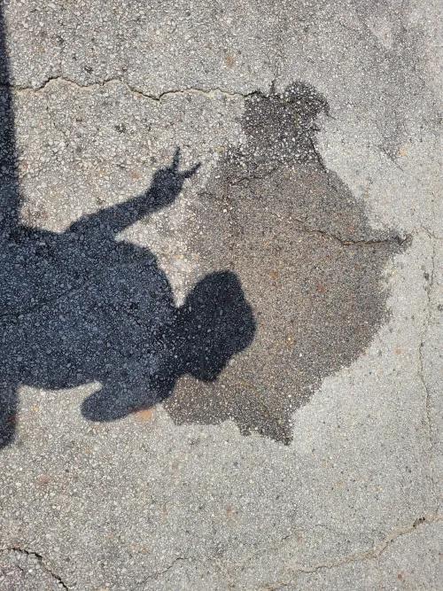 I haven't pissed on film outside in like 2 years and I finally did it! Felt so proud. Then I stayed outside too long, got too much sun, and slept all day. But I won't be held down 🤪