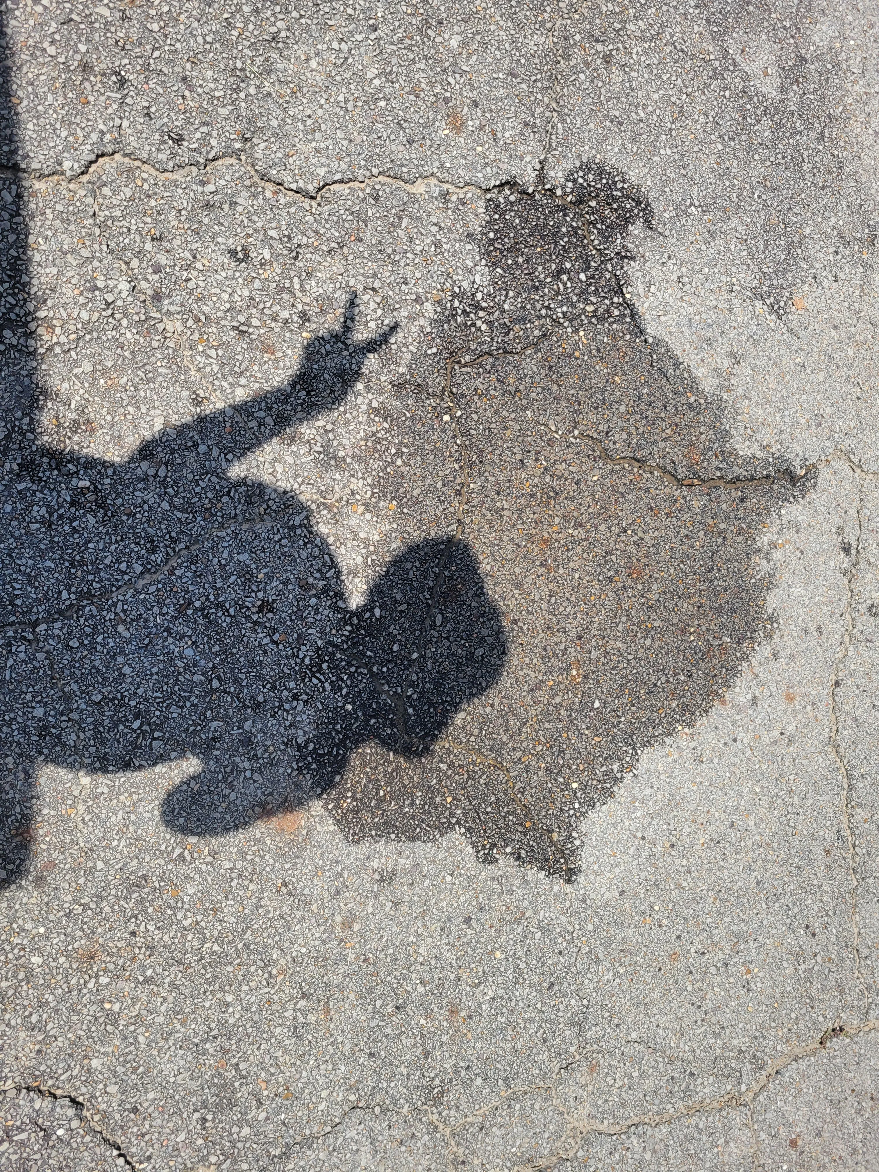 I haven't pissed on film outside in like 2 years and I finally did it! Felt so proud. Then I stayed outside too long, got too much sun, and slept all day. But I won't be held down 🤪