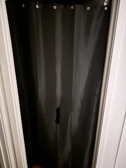 Joyburst 🌵  Private GloryH near Baseline Rd and 40th St (Phoenix/Tempe border)