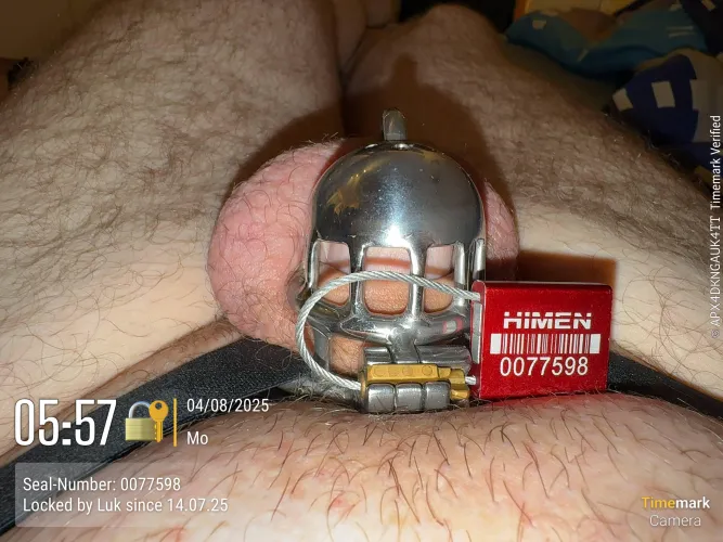 Warum ist schon wieder Montag??