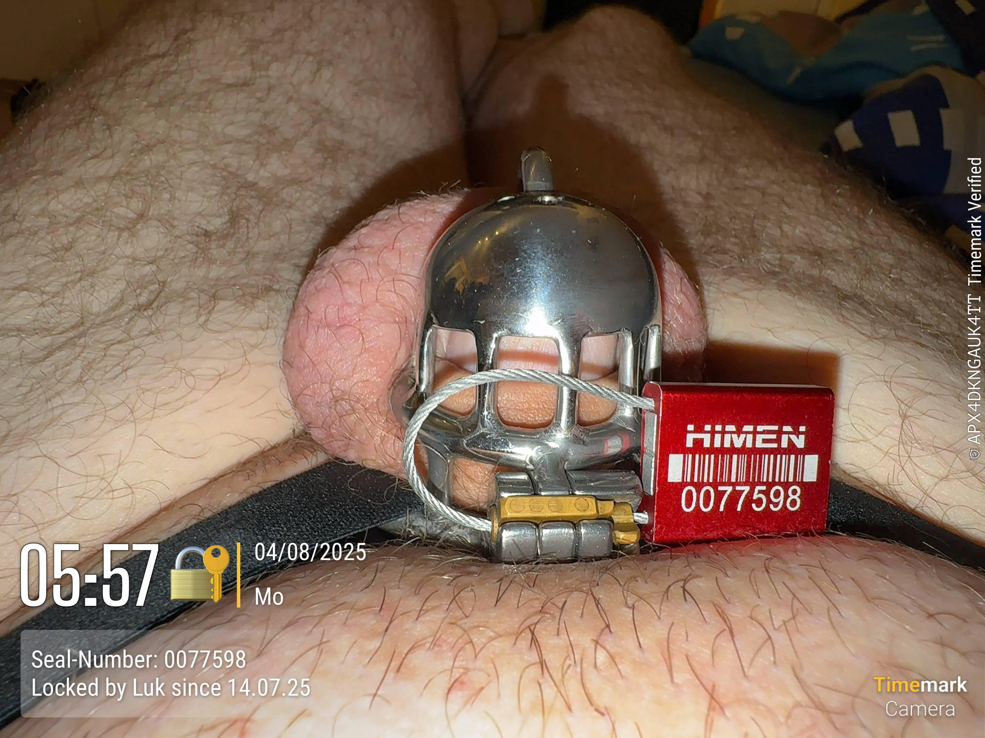 Warum ist schon wieder Montag??