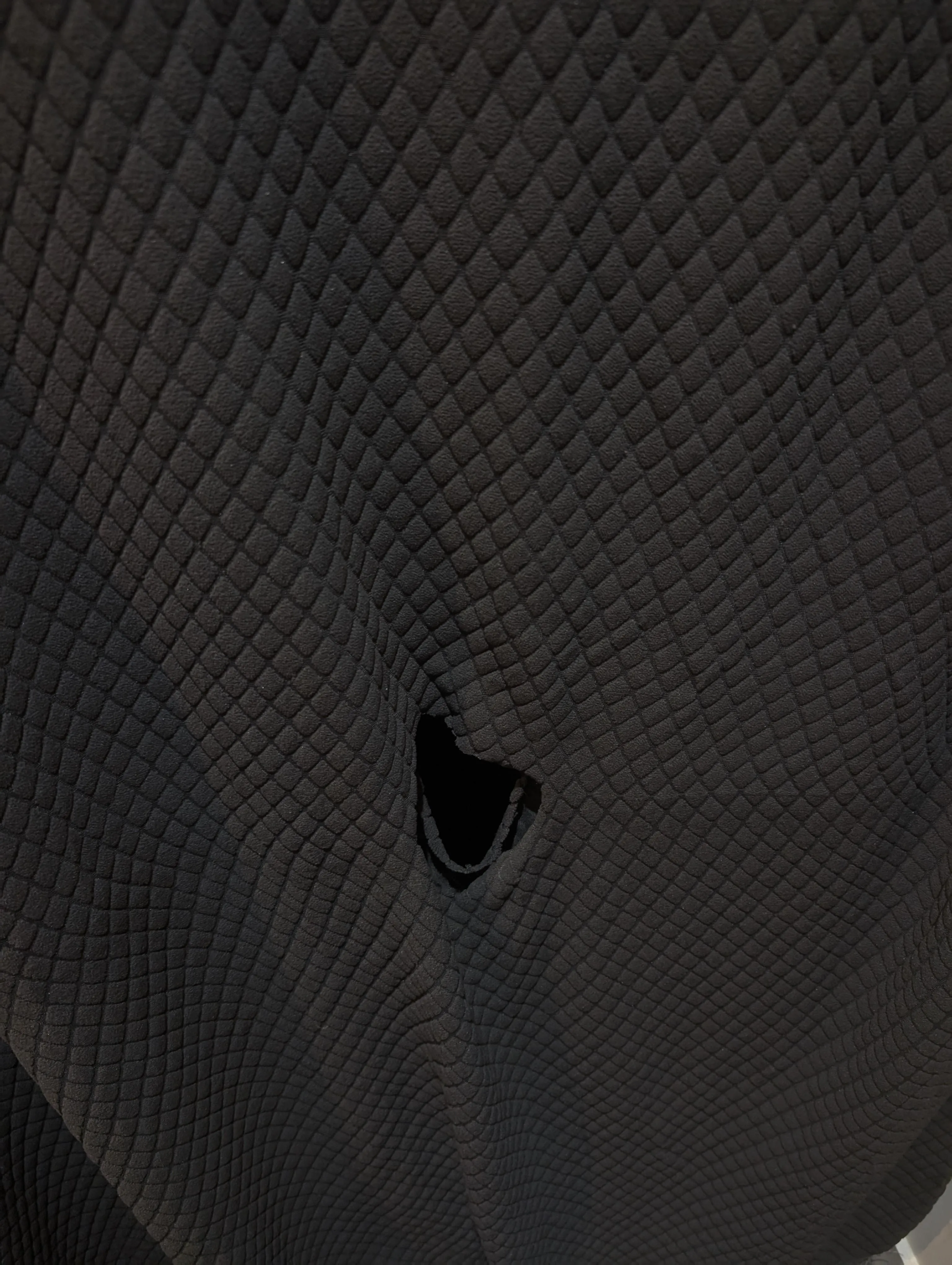 Who's after GH? [25]