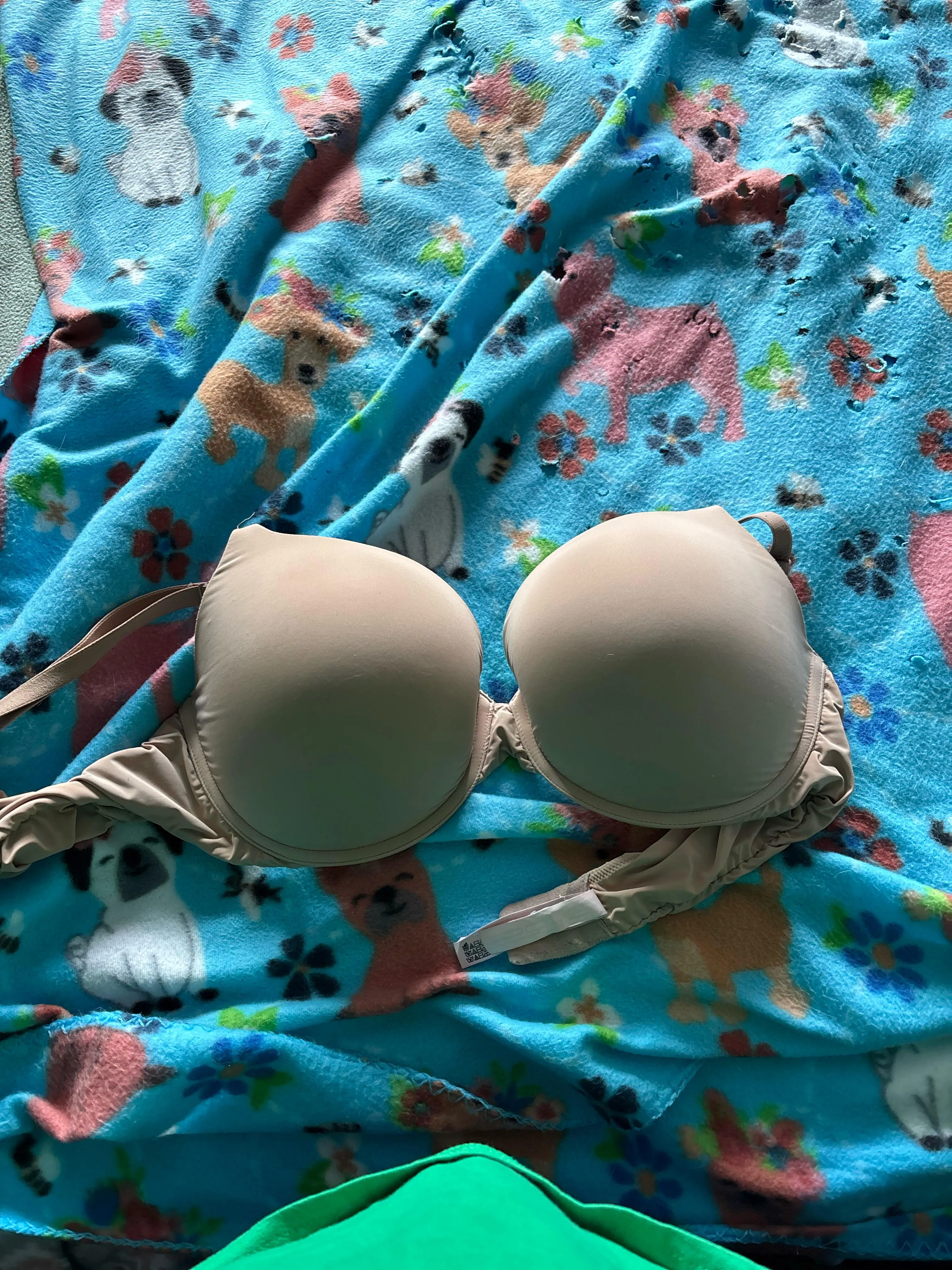 Wife’s 38 DD work out bra with