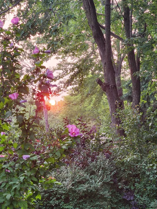 Good morning you beautiful souls