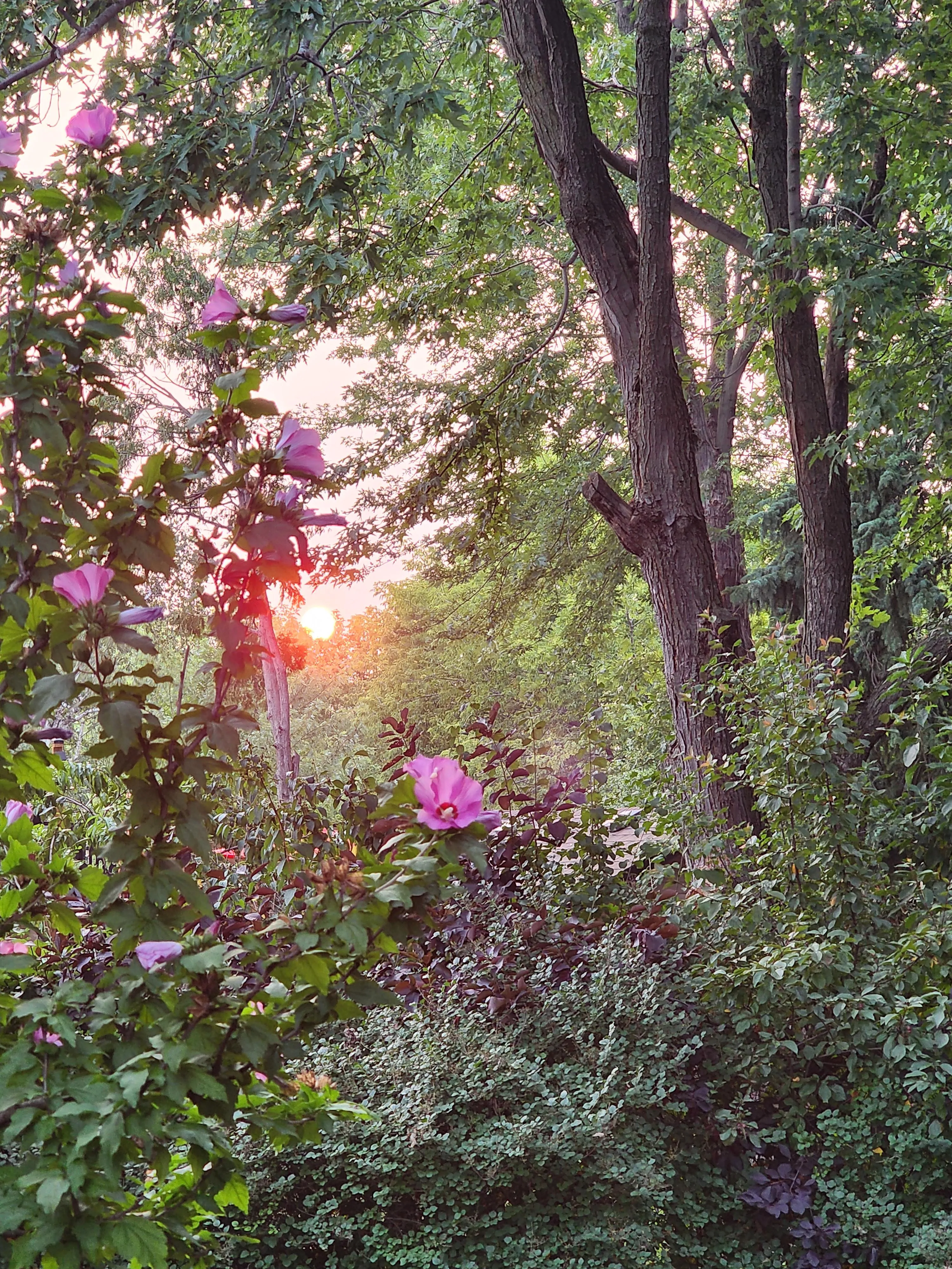 Good morning you beautiful souls