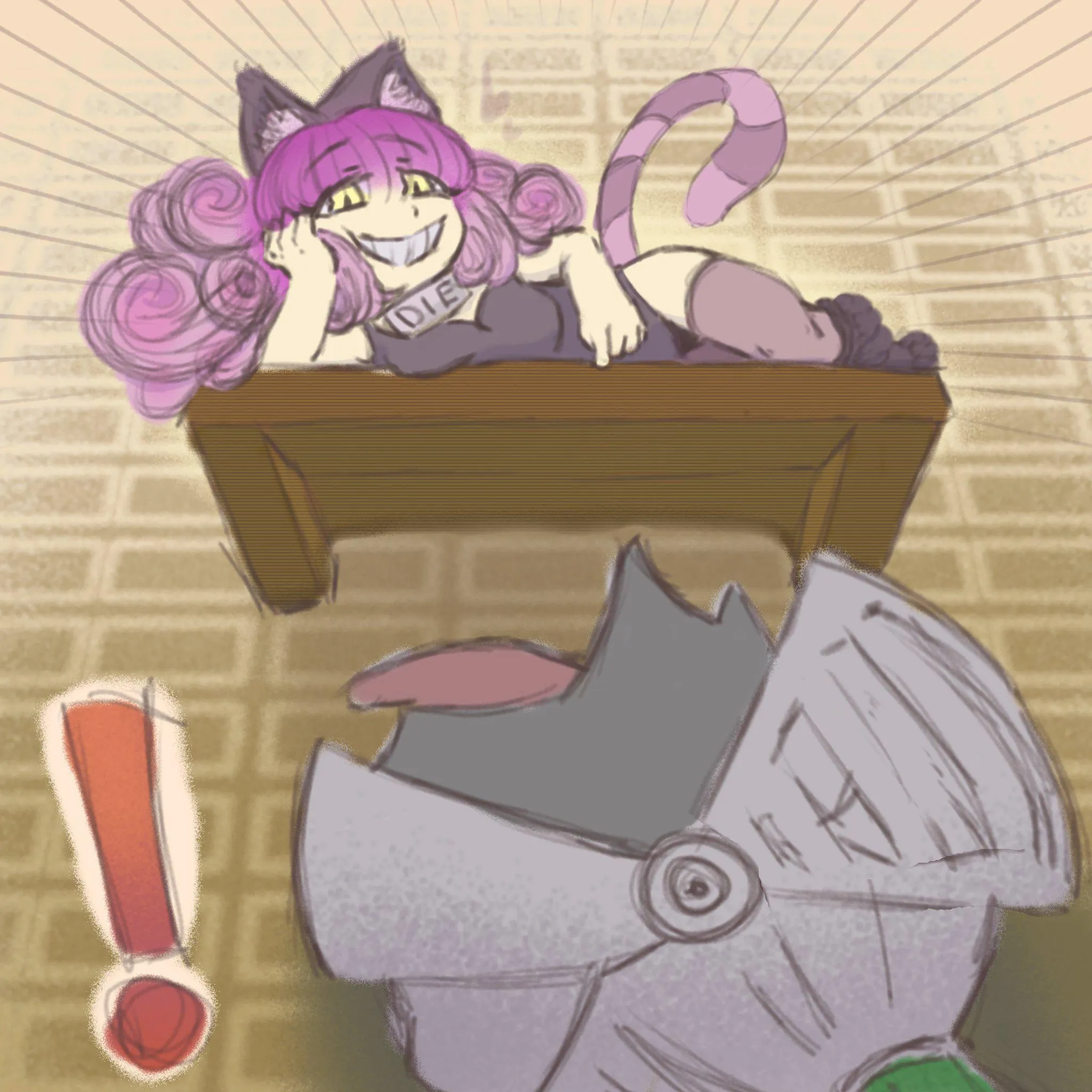 The cat on the shelf