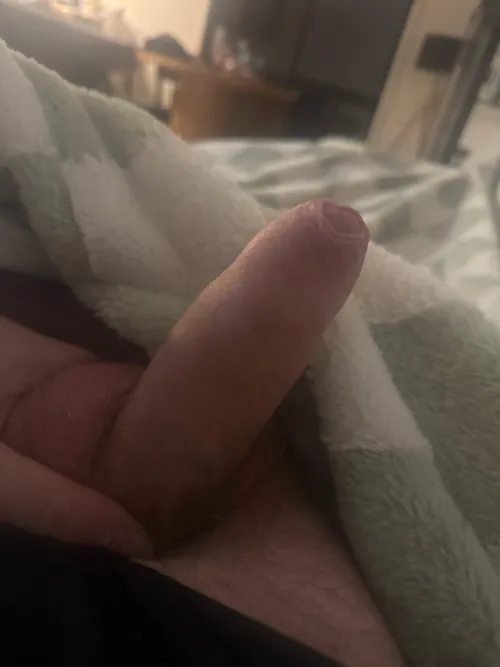 [35] Something something hump day 😝