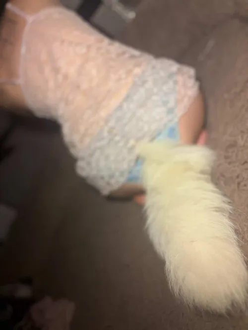 could you get this young pup to beg for you? 🐾