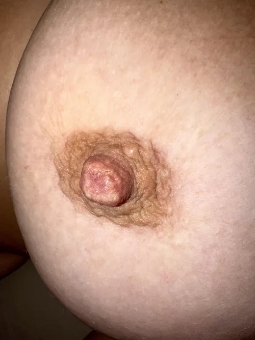 I hope you don’t tire of these pictures!