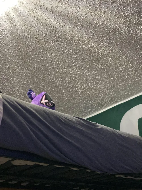 Nsfw irl RTL plushy content on the plushophile and plushlove subreddits