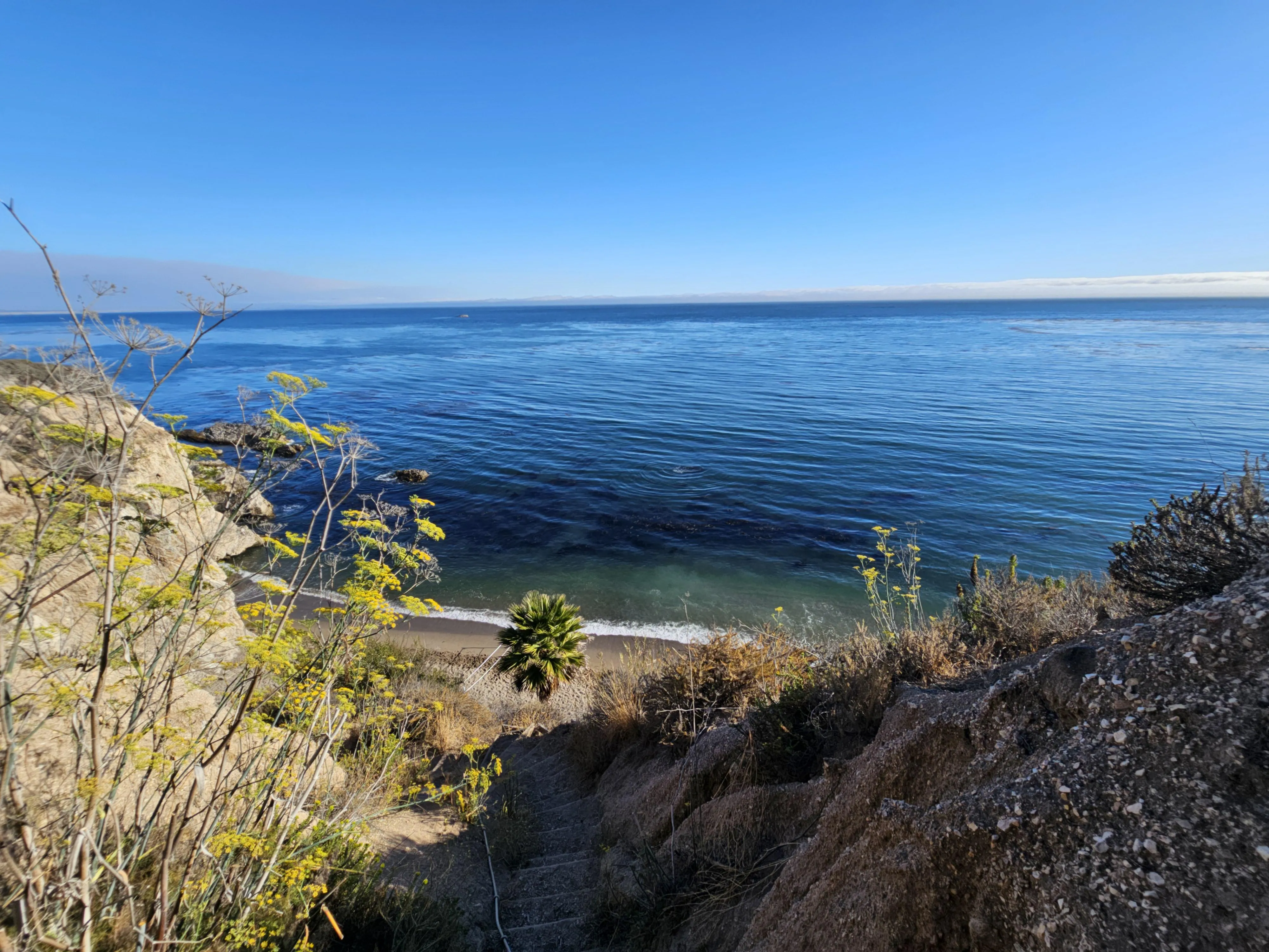 You missed out today