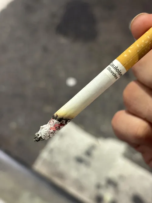 i’ve gotta say these french cigs impressed me