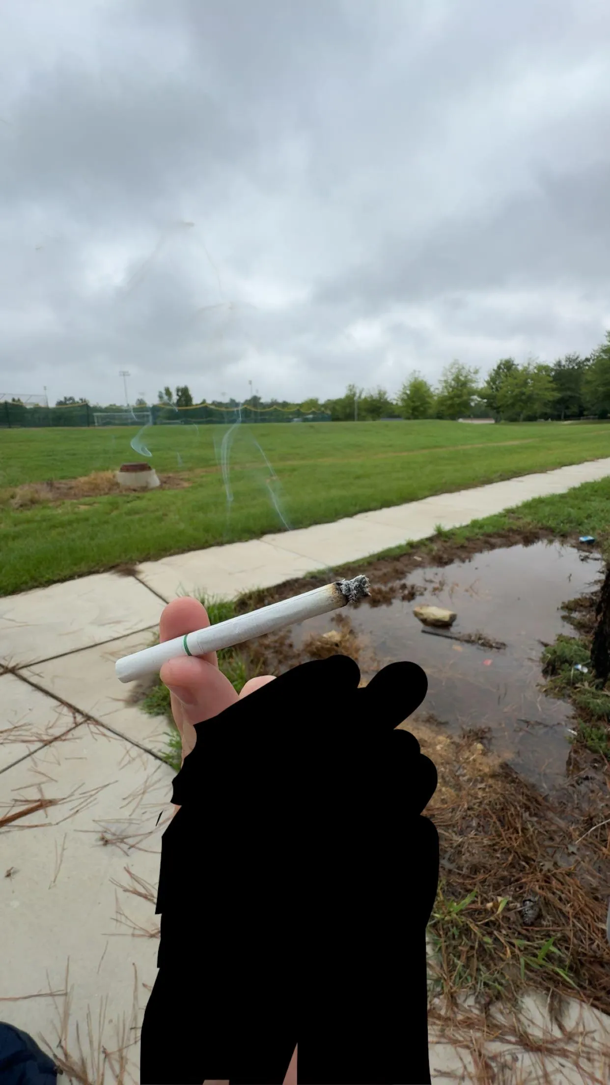 morning cig