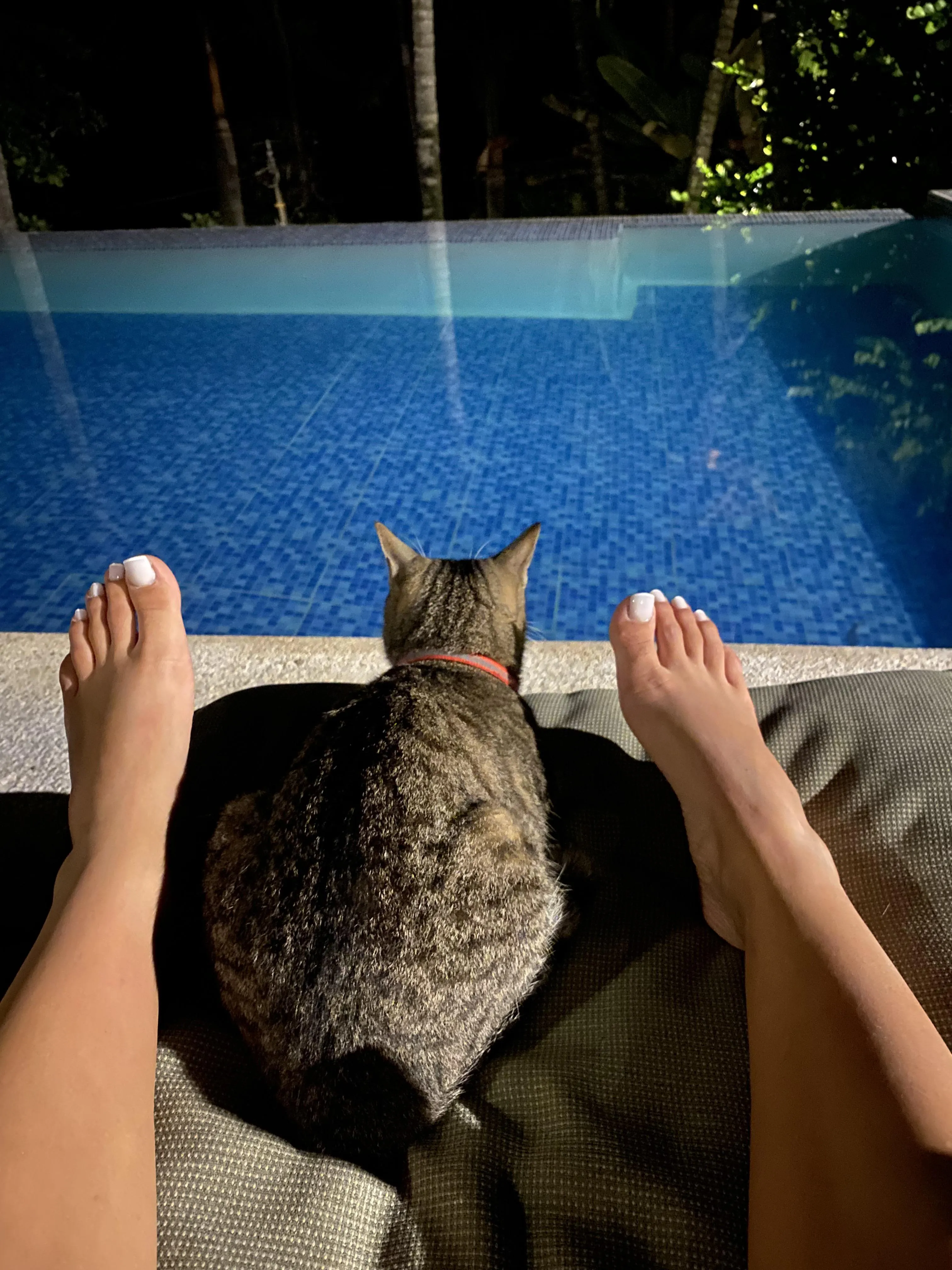 🐱 or 👣