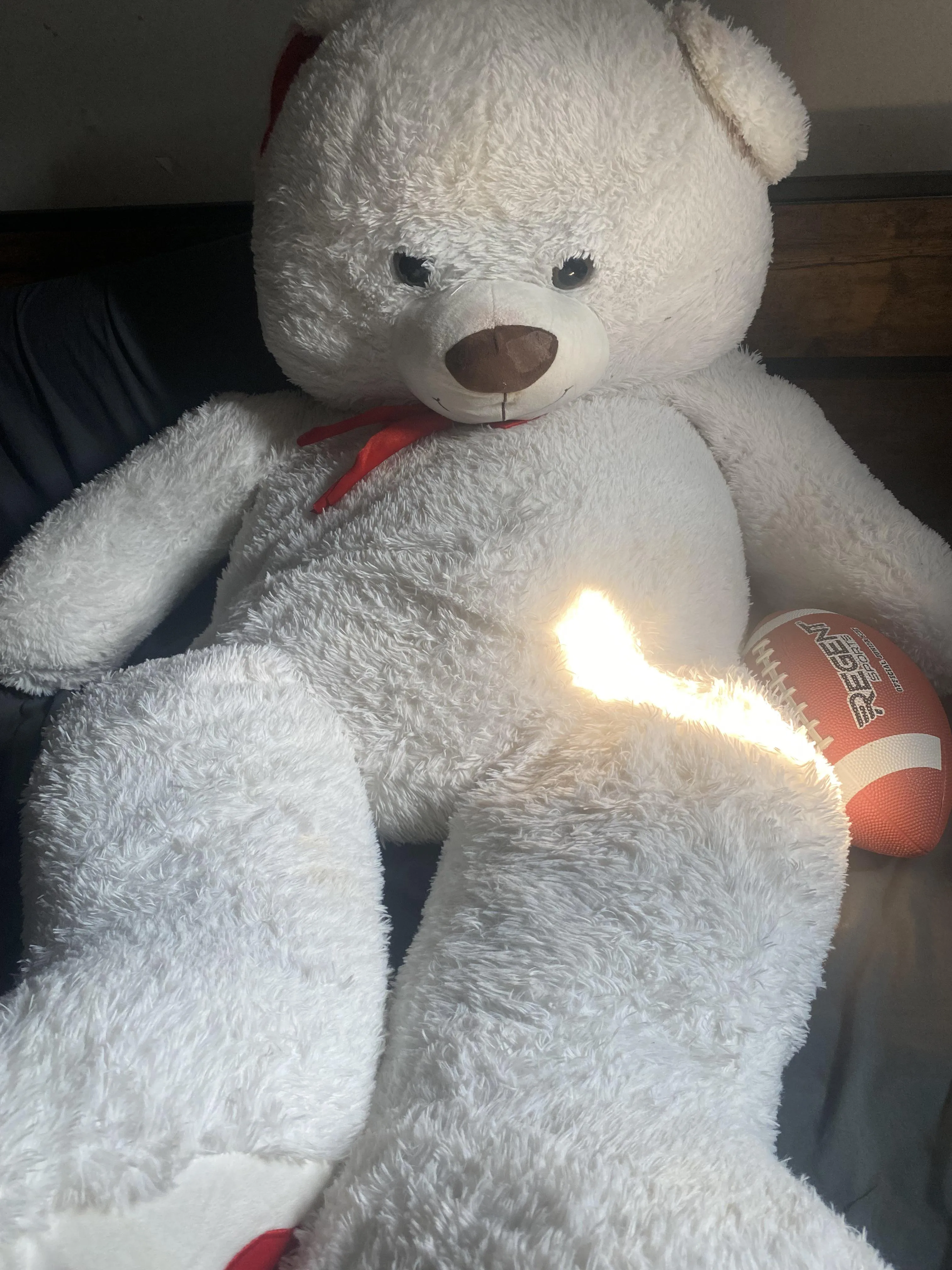 Who wants to watch me hump my bear