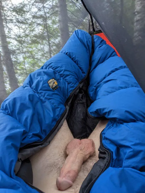 Anyone wanna go camping?