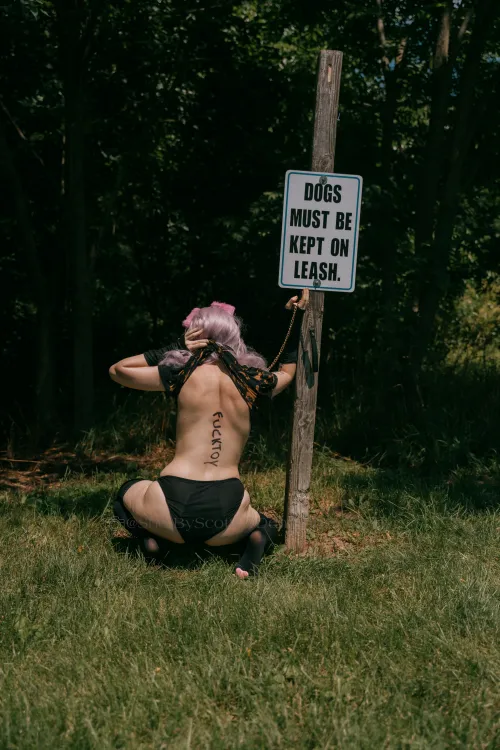 Fucktoy puppygirl at your disposal... what would you do to her?