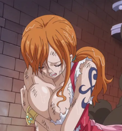 Nami's huge jugs