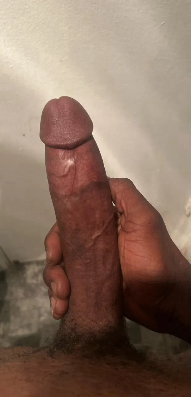 One eyed brown snake