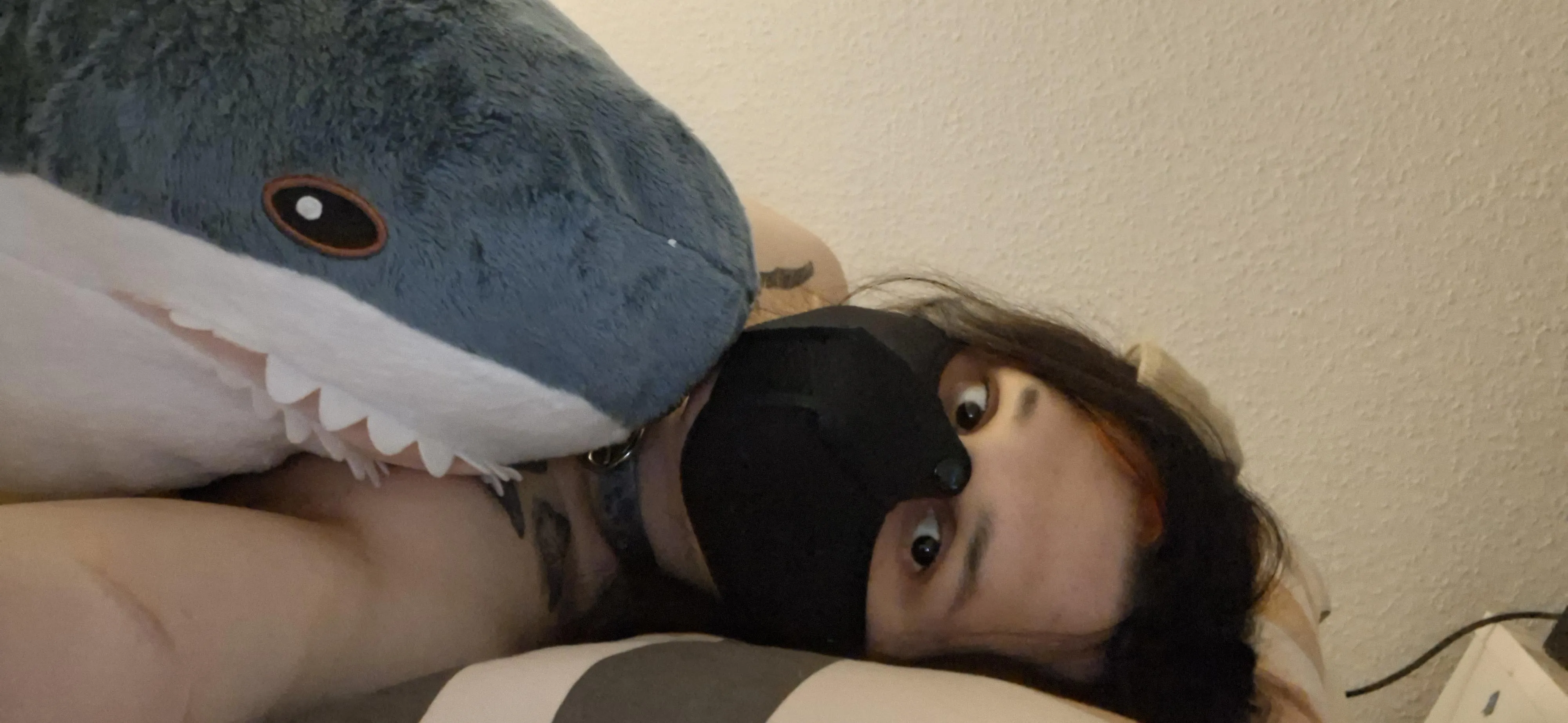 puppy cuddling its blahaj