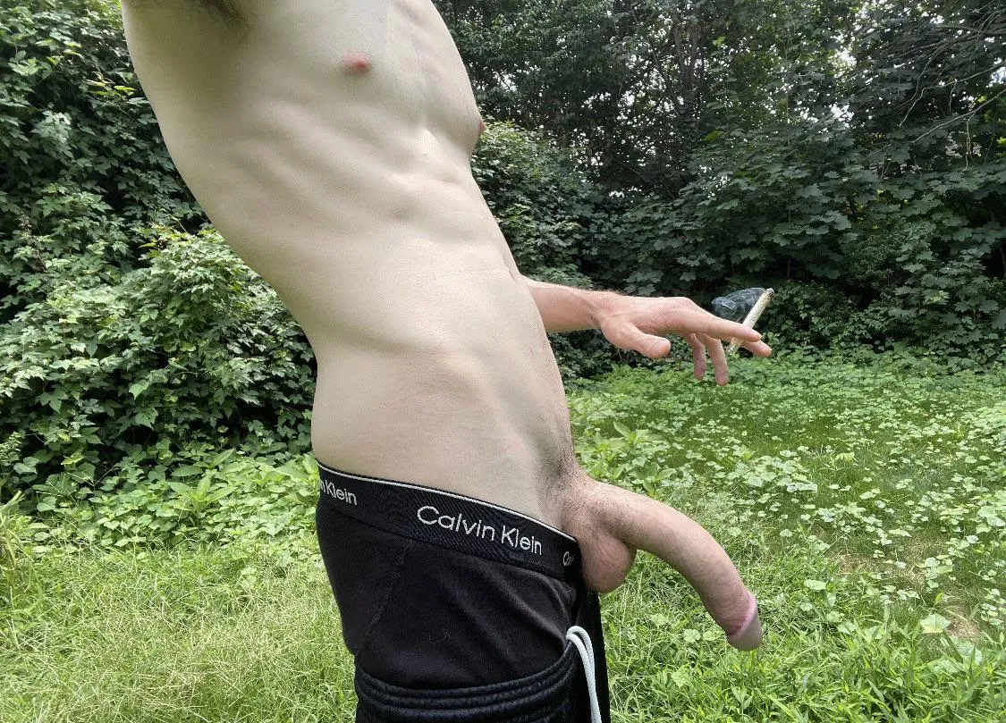 The definition of hung