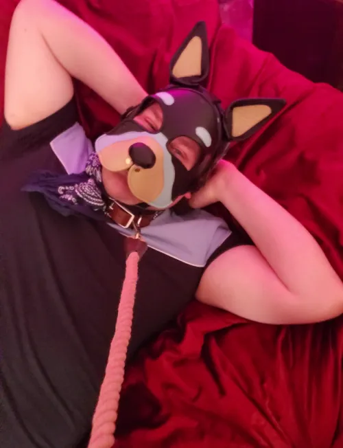 Getting all cozy in bed💙